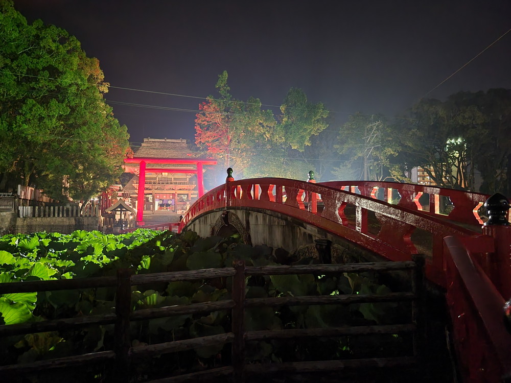 国宝青井阿蘇神社のライトアップ