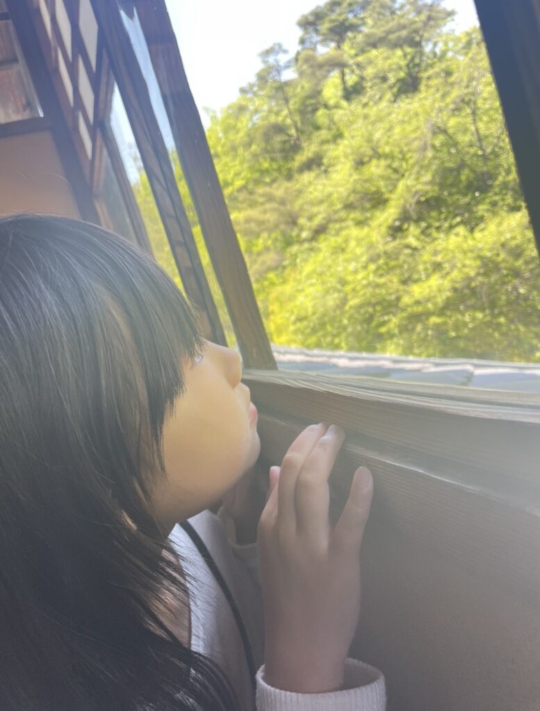 何が見える